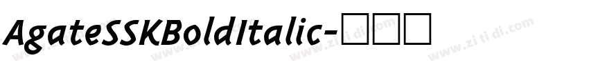 AgateSSKBoldItalic字体转换
