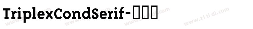 TriplexCondSerif字体转换