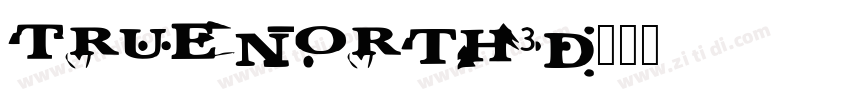 TrueNorth3D字体转换