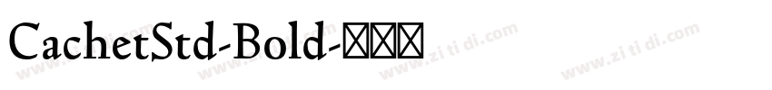 CachetStd-Bold字体转换