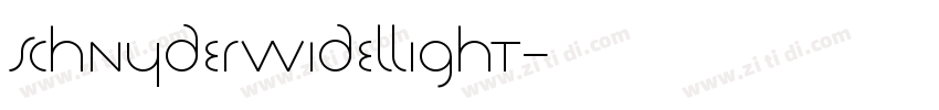 SchnyderWideLLight字体转换
