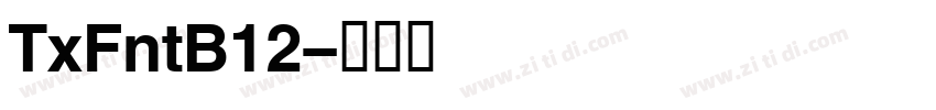 TxFntB12字体转换