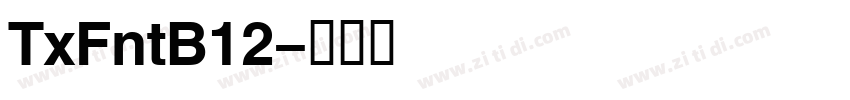 TxFntB12字体转换