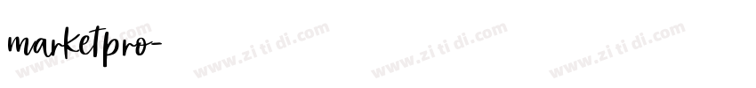 marketpro字体转换
