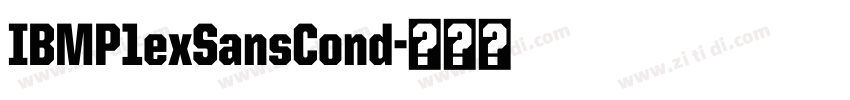IBMP1exSansCond字体转换