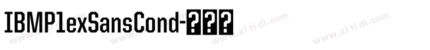 IBMP1exSansCond字体转换