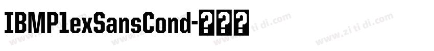 IBMP1exSansCond字体转换