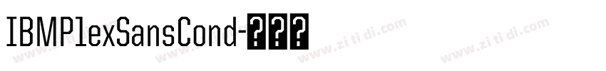 IBMP1exSansCond字体转换