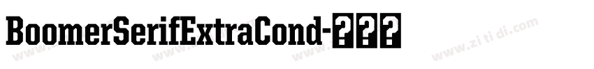 BoomerSerifExtraCond字体转换 BoomerSerifExtraCond字体转换