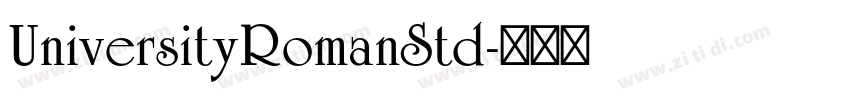 UniversityRomanStd字体转换