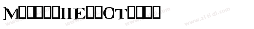 MatrixIIExtOT字体转换