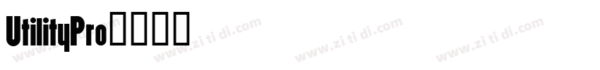 UtilityPro字体转换