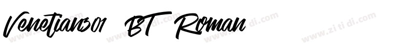 Venetian301-BT-Roman字体转换