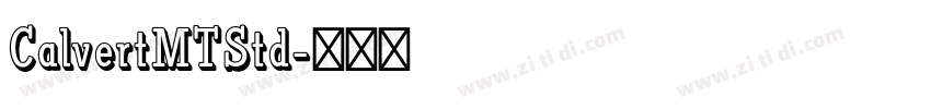 CalvertMTStd字体转换