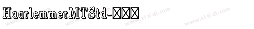 HaarlemmerMTStd字体转换