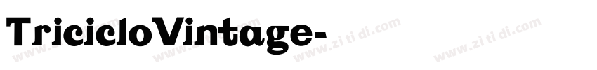 TricicloVintage字体转换