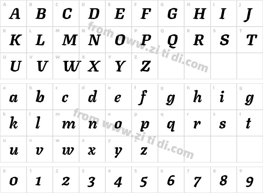 Texturina_24pt-BlackItalic字体字体映射图