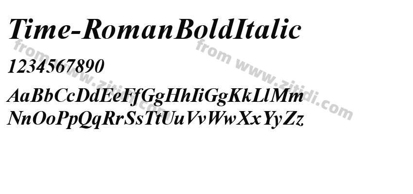 Time-RomanBoldItalic字体预览