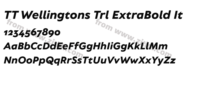TT Wellingtons Trl ExtraBold It字体预览