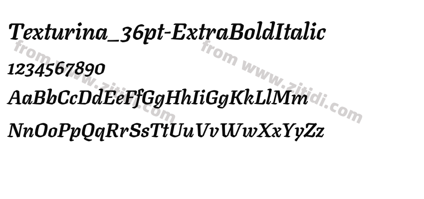 Texturina_36pt-ExtraBoldItalic字体预览