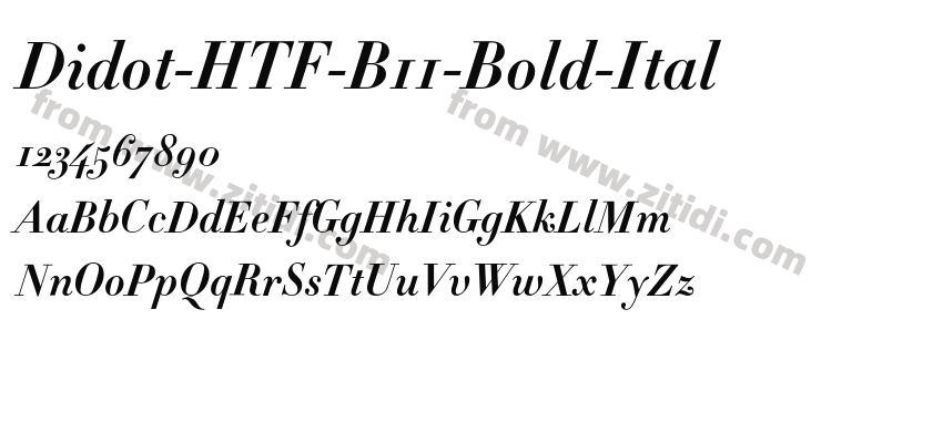 Didot-HTF-B11-Bold-Ital字体预览