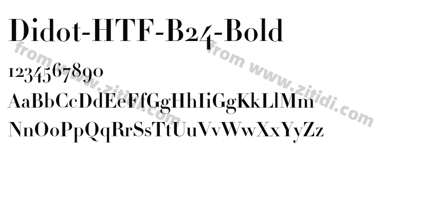 Didot-HTF-B24-Bold字体预览