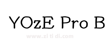 YOzE Pro B