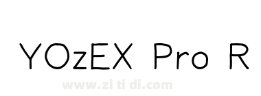 YOzEX Pro R