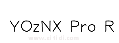 YOzNX Pro R