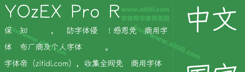 YOzEX Pro R字体预览