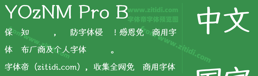 YOzNM Pro B字体预览