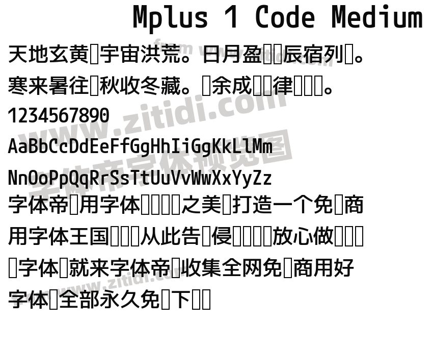 Mplus 1 Code Medium字体预览