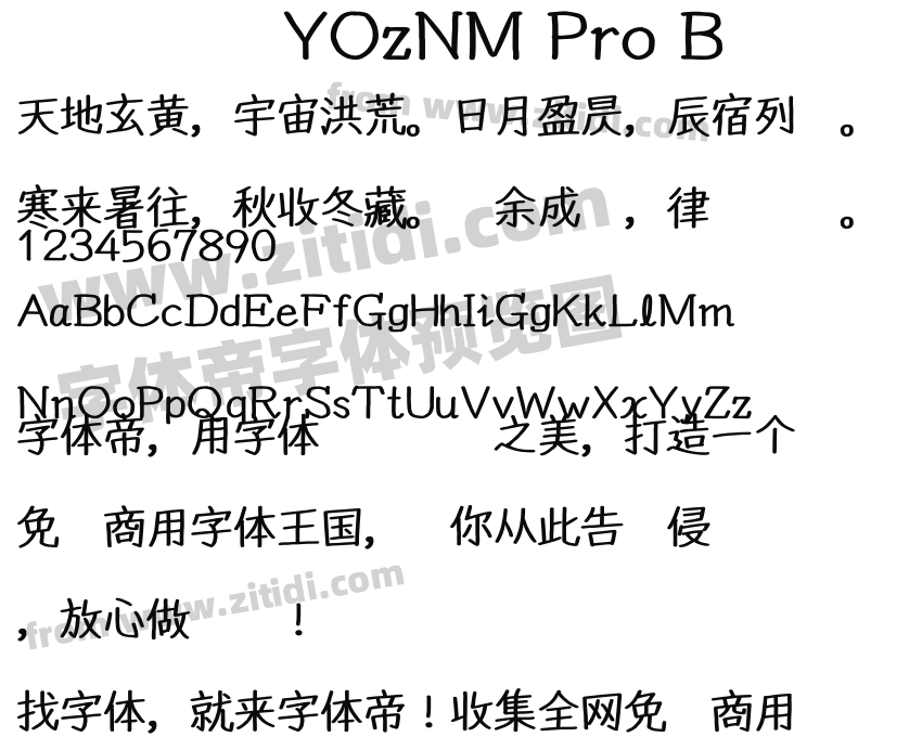 YOzNM Pro B字体预览